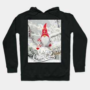 Merry Xmas Funny Gnome Photograpic Festive Print Hoodie